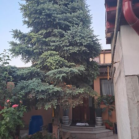 Casa Rusu Apartment Galati  Bagian luar foto