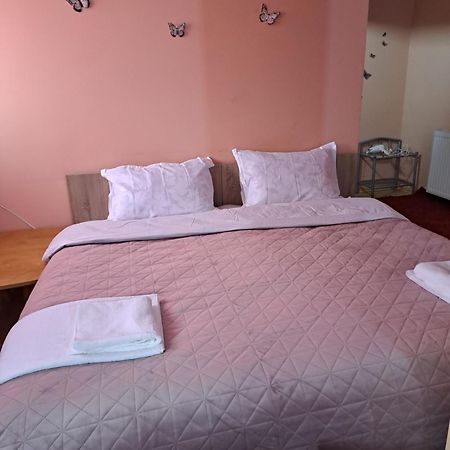 Casa Rusu Apartment Galati  Bagian luar foto