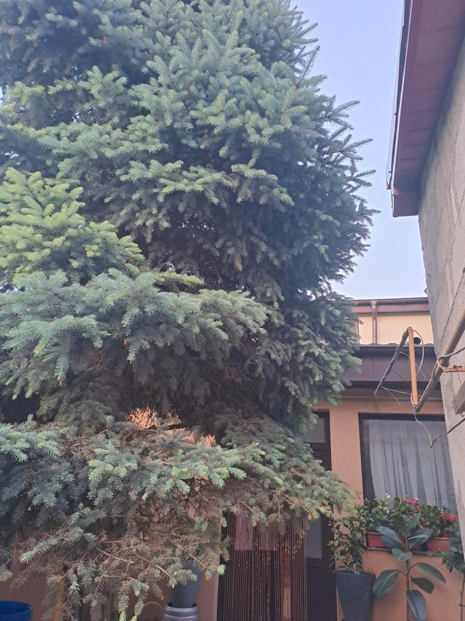 Casa Rusu Apartment Galati  Bagian luar foto