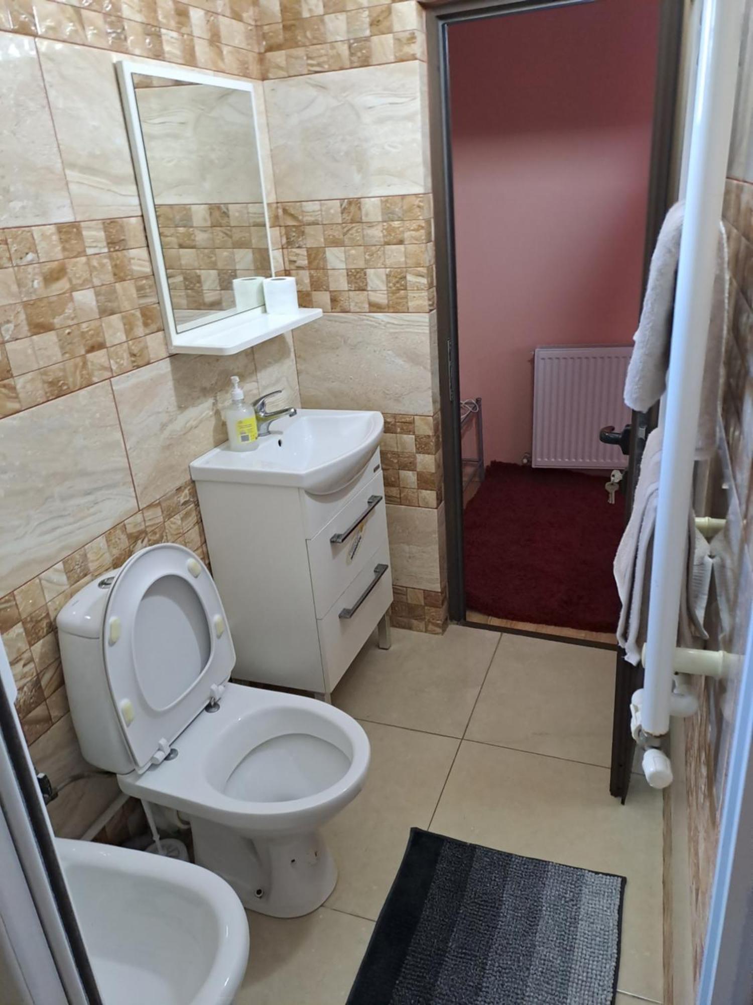 Casa Rusu Apartment Galati  Bagian luar foto