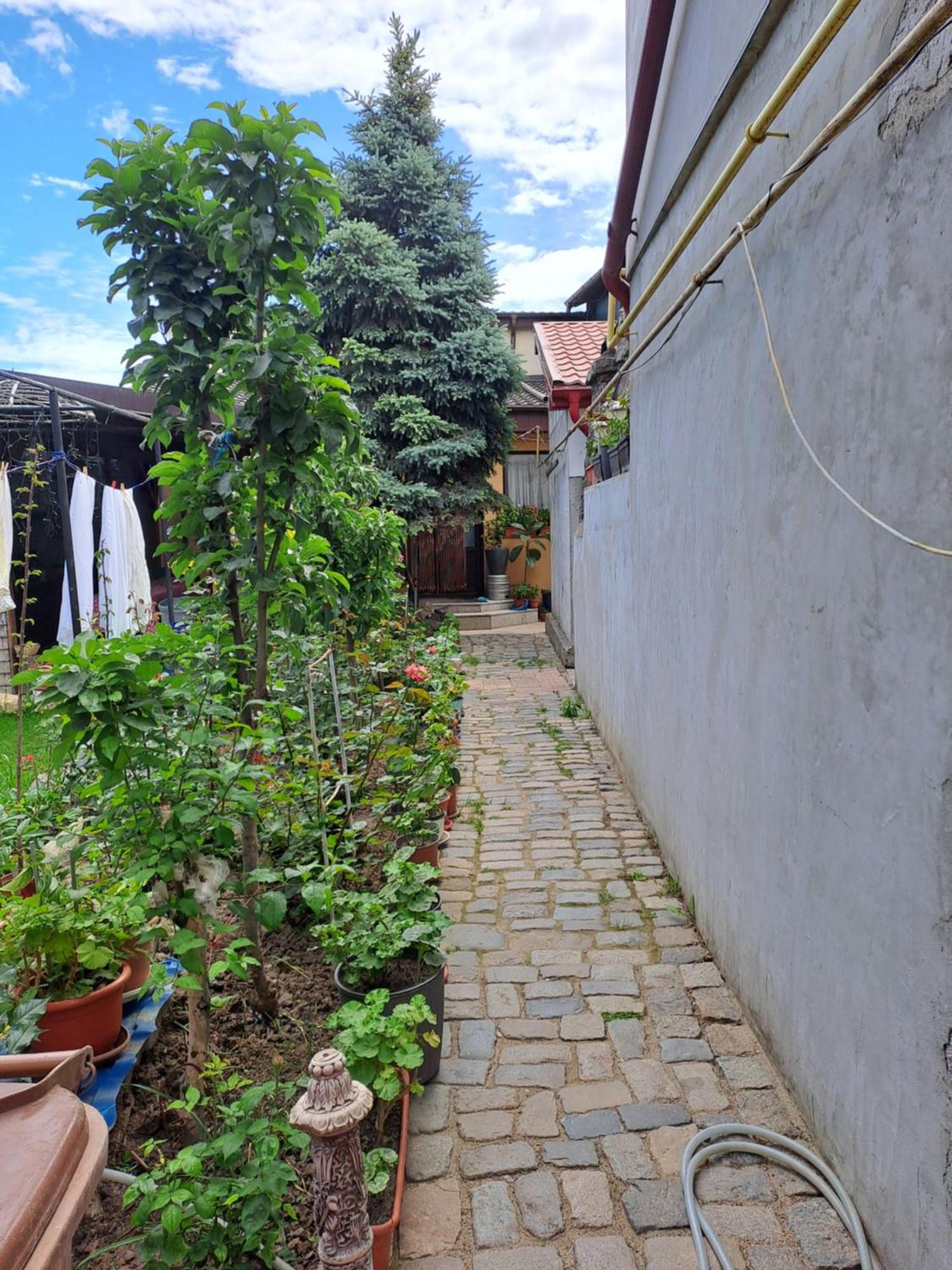 Casa Rusu Apartment Galati  Bagian luar foto